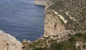 Tour Wandern Ħad-Dingli - MALTE 2024 / 01 Dingly's Cliffs - Photo 8