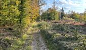 Trail Horseback riding Florenville - Les Epioux - Photo 10