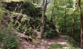 Trail Walking Vresse-sur-Semois - Laforet 080621 - Photo 2