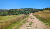 Trail Walking Orbey - Circuit des 2 lacs : lac du Forlet et lac Vert - Photo 4