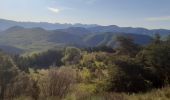 Trail Walking Bayons - BAYONS  . col des Sagnes , Peyrouret , Picouse , bergerie de Gautiere , Piaure , Giaire n - Photo 9