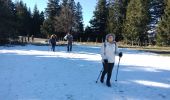 Percorso Marcia Besse-et-Saint-Anastaise - lac pavin - Photo 1