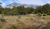 Tour Wandern La Possession - Boucle Marla - La Nouvelle depuis le col des Bœufs - Photo 12