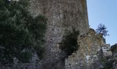 Randonnée Marche La Crau - Chapelle du Fenouillet & Château de Hyères - Photo 8