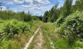 Trail Walking Marchiennes - Marchiennes 15,6 km - Photo 5