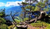 Tour Wandern Freissinières - r3682-les-cretes-de-la-rortie-1698m - Photo 10