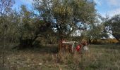 Trail Walking Corconne - Corconne vignes garrigue oliveraies  - Photo 12