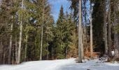 Randonnée Raquettes à neige Autrans-Méaudre en Vercors - Pas de Nave  - Photo 12