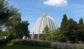 Tour Zu Fuß Hofheim am Taunus - Domherrnwald: Lindenblatt - Photo 4