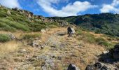Trail Walking Dourbies - Dourbies -Meyruis 23 km - deuxième étape tour du mont Aigual - Photo 3