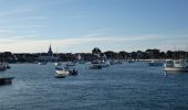 Randonnée A pied Locmariaquer - Entre golfe et océan - Photo 1