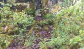 Trail Walking Lizine - lizine croix et lison - Photo 5