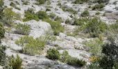 Randonnée Marche Cabrières-d'Avignon - CABRIERE les Avignon - Photo 1