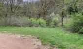 Tocht Stappen Le Vignon-en-Quercy - Muriel œil de la Doue - Photo 1