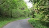 Percorso A piedi Sconosciuto - Rostrevor Forest - Slievemartin Trail - Photo 3