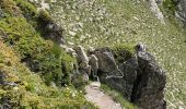 Trail Walking Cauterets - Ileou-Pont d’Espagne - Photo 18