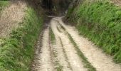 Trail Walking Tervuren - Promenade XT2 - Photo 4