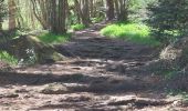 Trail Walking Ceyrat - GORGES DE CEYRAT EN BOUCLE PAR BERZET - Photo 16