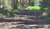 Tocht Stappen Ceyrat - GORGES DE CEYRAT EN BOUCLE PAR BERZET - Photo 16