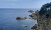 Trail Walking Tossa de Mar - Wikiloc - Tossa de Mar-Cala Bona-Tossa - Photo 1