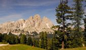 Percorso A piedi Cortina d'Ampezzo - Hotel Serena - Mandres - Lago Scin - Photo 2