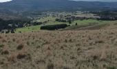 Tour Wandern Saint-Sauveur-Camprieu - VALLEE DU BONHEUR (Court) - Photo 3