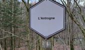 Tocht Stappen Herbeumont - Antrogne - Photo 8