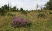 Percorso Marcia Libin - Libin - Natura 2000, des sites qui valent le détour - Lx22 - Photo 8