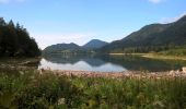 Tour Zu Fuß Faistenau - Rundwanderweg Hintersee - Photo 10