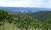 Tocht Stappen Cogolin - les hauts de Cavalaire - Photo 9