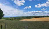 Trail Walking Ouffet - promenade au bois d'Ouffet et du trou du Loup - Photo 5
