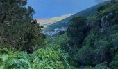 Tour Wandern Frontera - Sabinosa - El Sabinar - Ermita Virgen de Los Reyes (El Hierro) - Photo 5