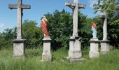 Tour Zu Fuß Gran - zöld IVV (Esztergom vá. – Vaskapu Th. – Esztergom vá.) - Photo 4