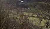 Randonnée Marche Pont-en-Royans - Grotte Balme Rousse - Photo 17