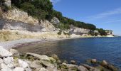 Trail On foot Unknown - Stevns Klint Trampesti - Photo 6