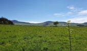 Trail Walking Les Estables - Rocher Tourte - Photo 4