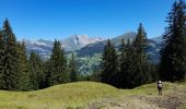 Percorso Marcia La Clusaz - ARAVIS: TETE DU DANAY via Mortenay et Pézerette - Photo 4