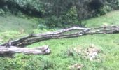 Trail Trail Sainte-Anne - Saint Anne  - Photo 8