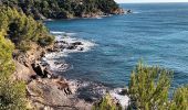 Percorso Marcia Ramatuelle - cap Camarat-golfe St Tropez-03-12-21 - Photo 13