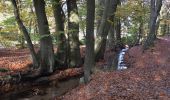 Tour Zu Fuß Rheden - Groene Wissel: Velp - Photo 2