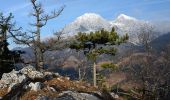 Excursión A pie Preddvor - Panoramska pot pod Javorovim vrhom - Photo 6