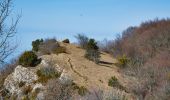 Tour Wandern Saou - Forêt de Saoû - Les Pomerolles - Photo 12