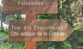 Trail Walking Vallauris - Puissanton V - Photo 1