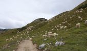 Percorso A piedi Cortina d'Ampezzo - IT-6 - Photo 1