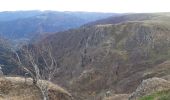 Tour Wandern Woll - mon sentier des névés : hohneck . kastelbergwasen . firstmiss . breitsouze . Le hohneck  - Photo 1