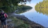 Randonnée Marche La Forêt-Fouesnant - 9.9.20 - Photo 1