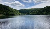 Percorso Marcia La Bresse - Feignes-sous-Vologne / Lac de la Lande / Lac de Blanchemer - Photo 1