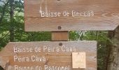 Excursión Senderismo Moulinet - Baisse de Bécass - Photo 7