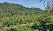 Tour Wandern Nassogne - Nassogne 070921 - Photo 4