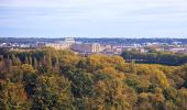 Tour Zu Fuß Versailles - Boucle 28 km autour de Versailles - Photo 10